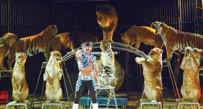 4356-1 Le Cirque Pinder dressera son chapiteau du 23 au 24 juin au Parc des Expositions de Vandoeuvre pour présenter des numéros exceptionnels.