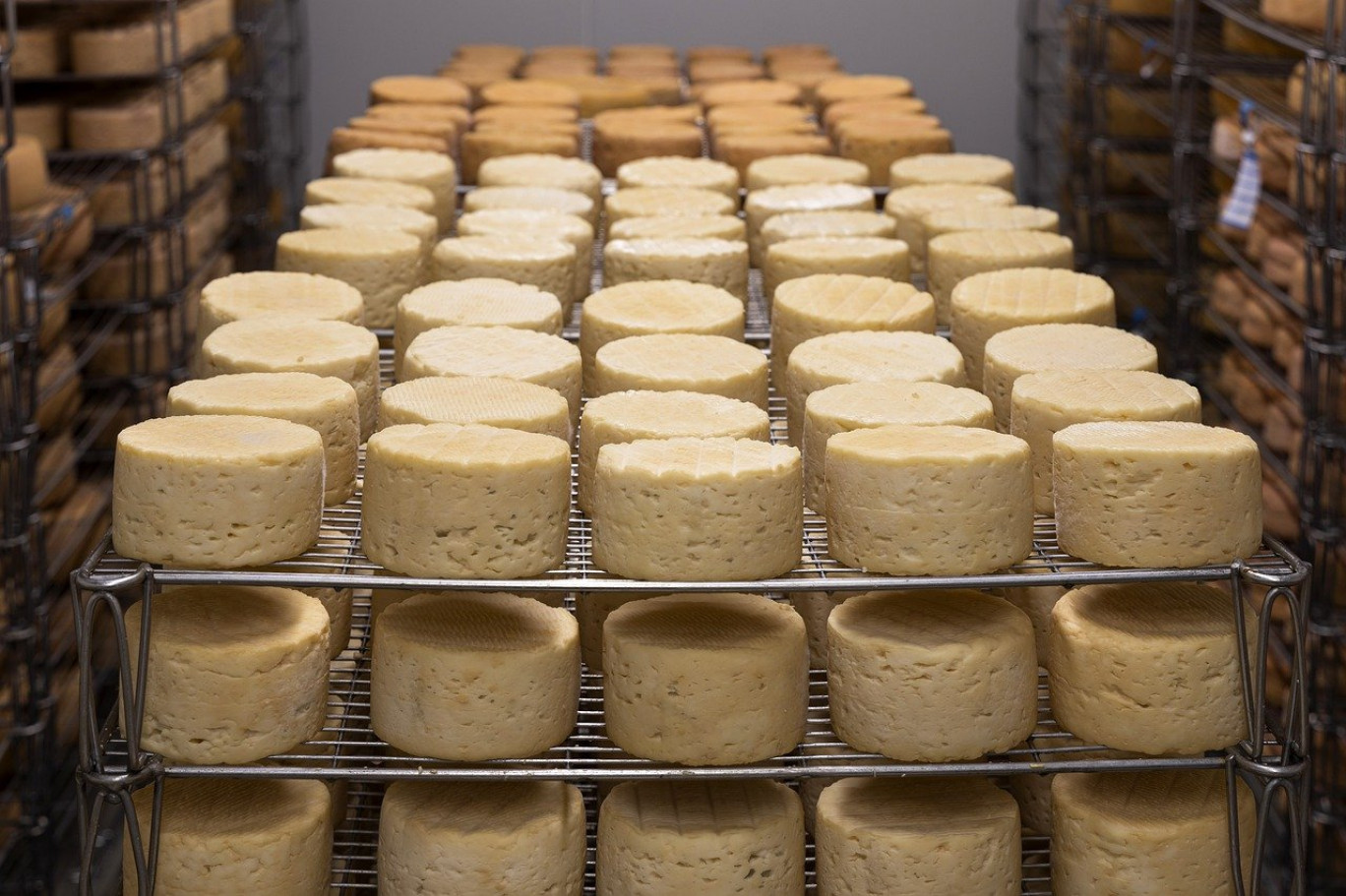 De nombreuses fromageries s'installent dans la Meuse.