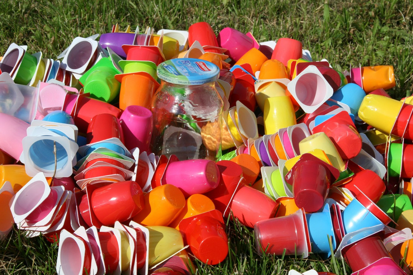 Collecte de papiers, mégots, plastiques et autres déchets jetés dans la nature. 