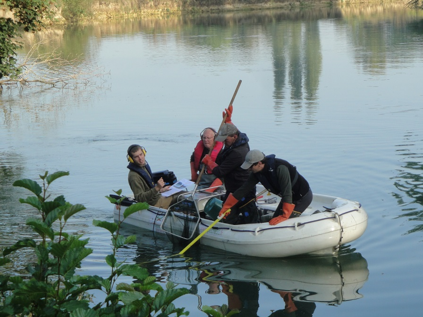 La méthode non létale de la pêche électrique est parfaite pour réaliser les inventaires piscicoles.
