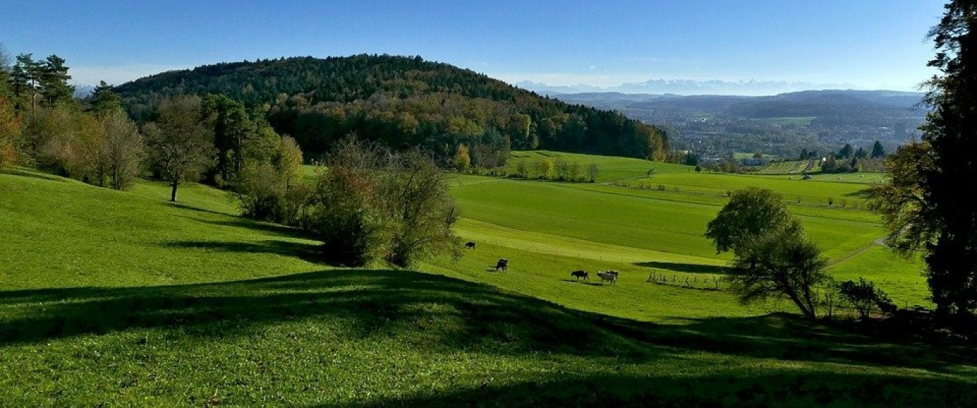 Agriculture : Plantons des haies...