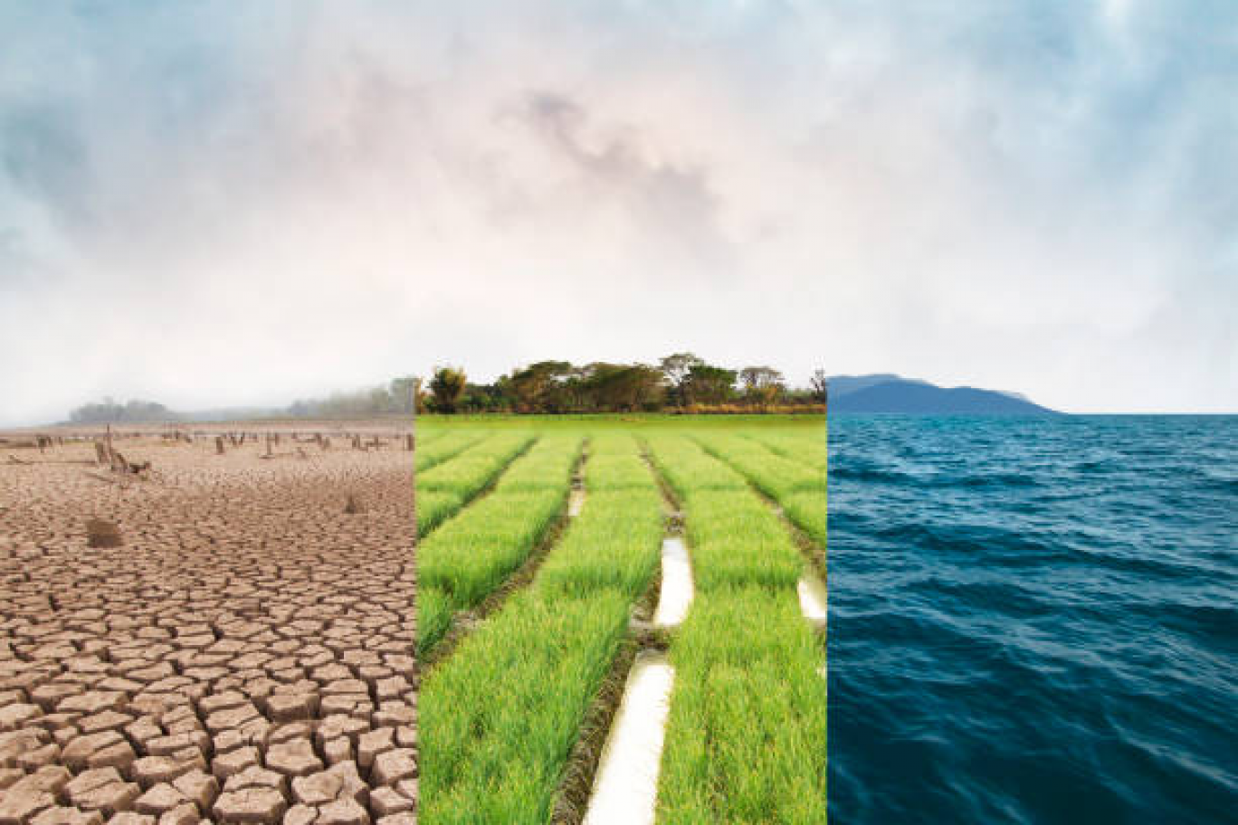 Aléas climatiques : ouverture du second appel à projet