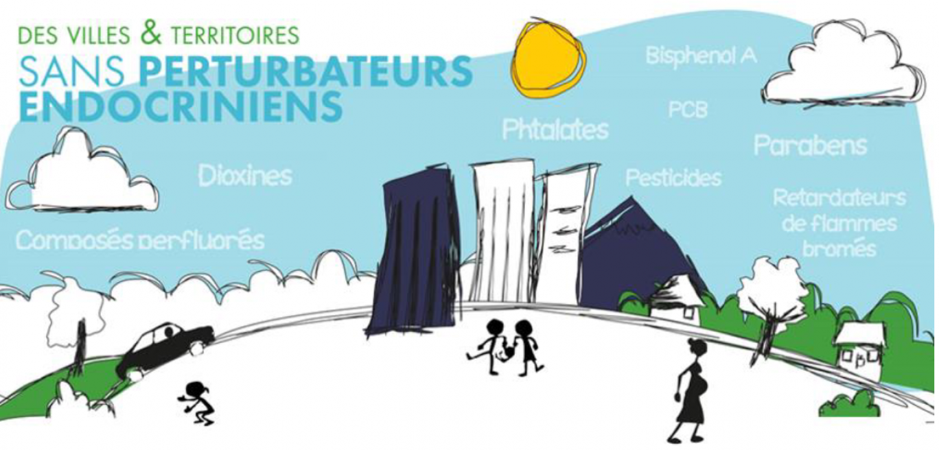 © La charte «Villes et territoires sans perturbateurs endocriniens»