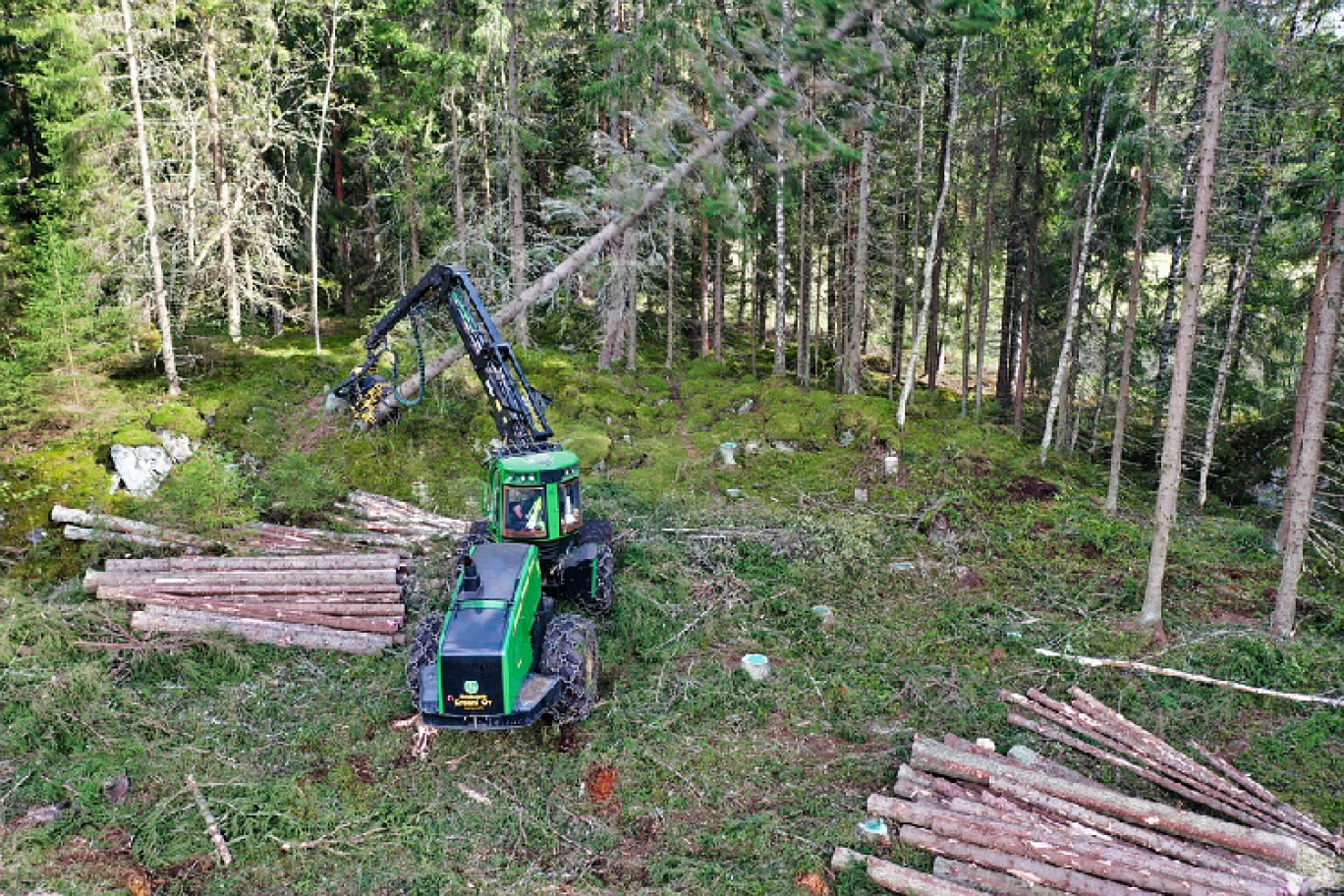 Alerte contre le démarchage abusif des exploitations forestières