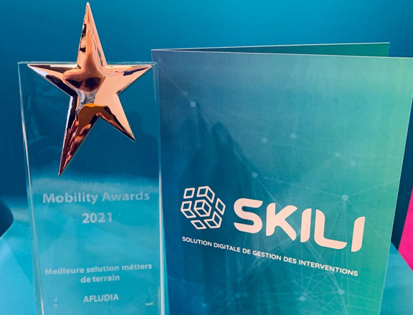 Afludia récompensée aux Mobility Awards !
