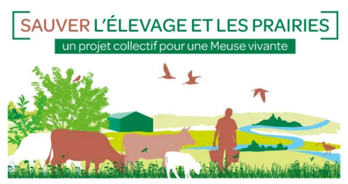 © Agence de l'eau Rhin-Meuse