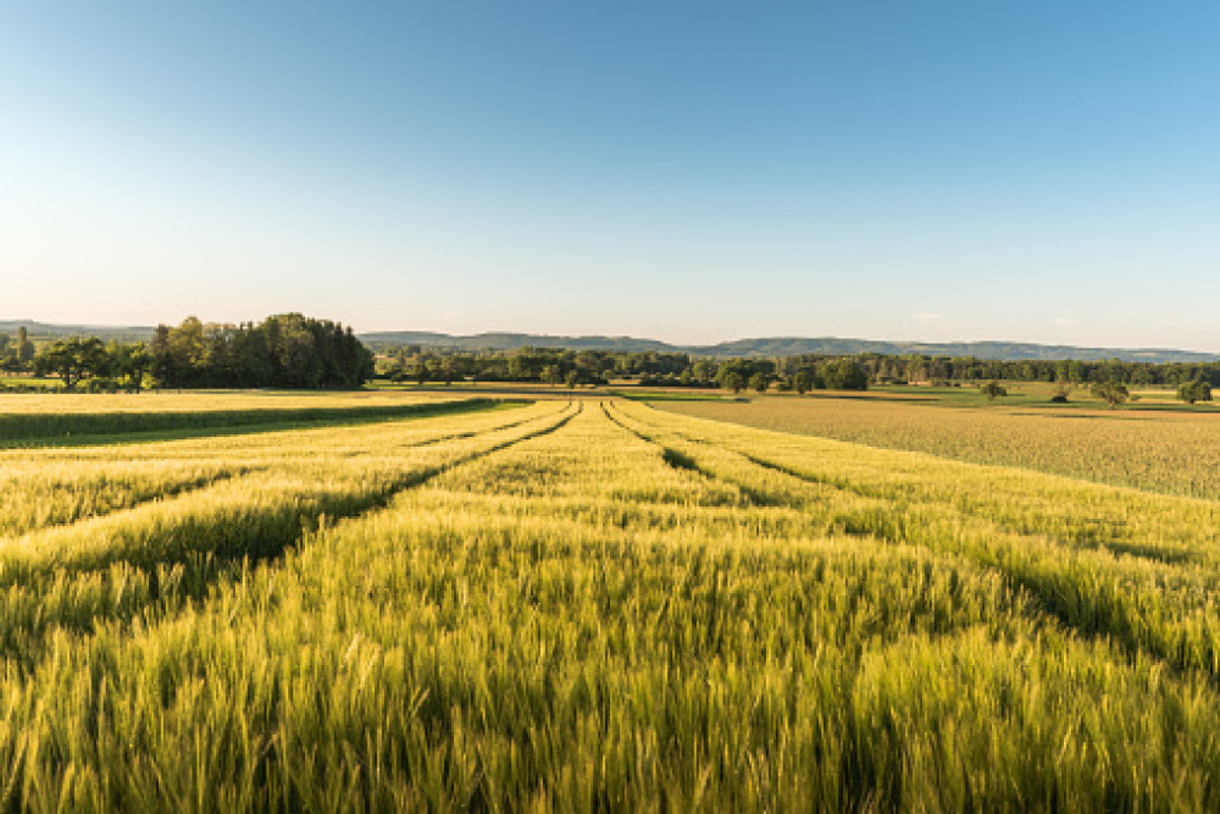 L’ANEFA Meuse : Journée découverte des métiers agricoles et para-agricoles - 14 mars