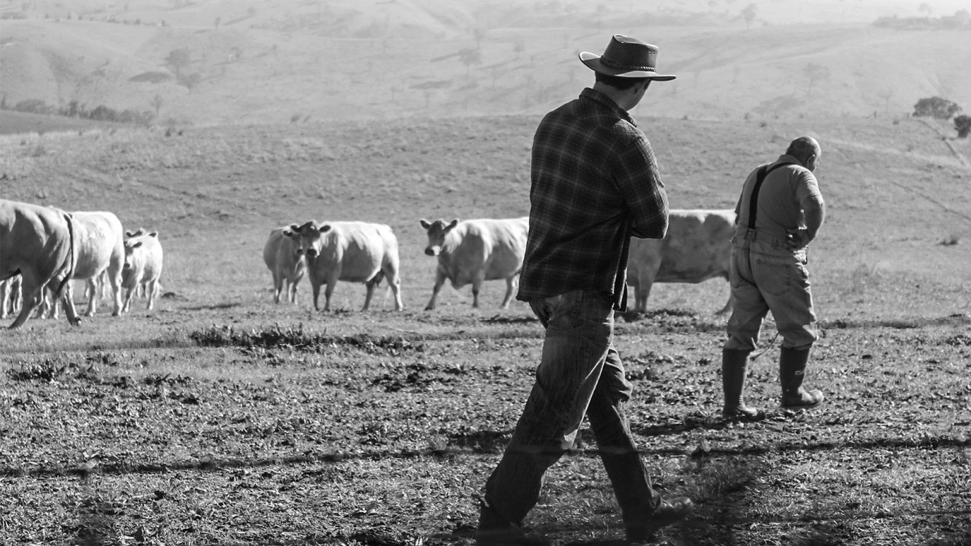 Le taux de suicide des agriculteurs est supérieur à celui du reste de la société, d’après les données de la MSA, la sécurité sociale agricole, qui en a recensé 529 en 2016.