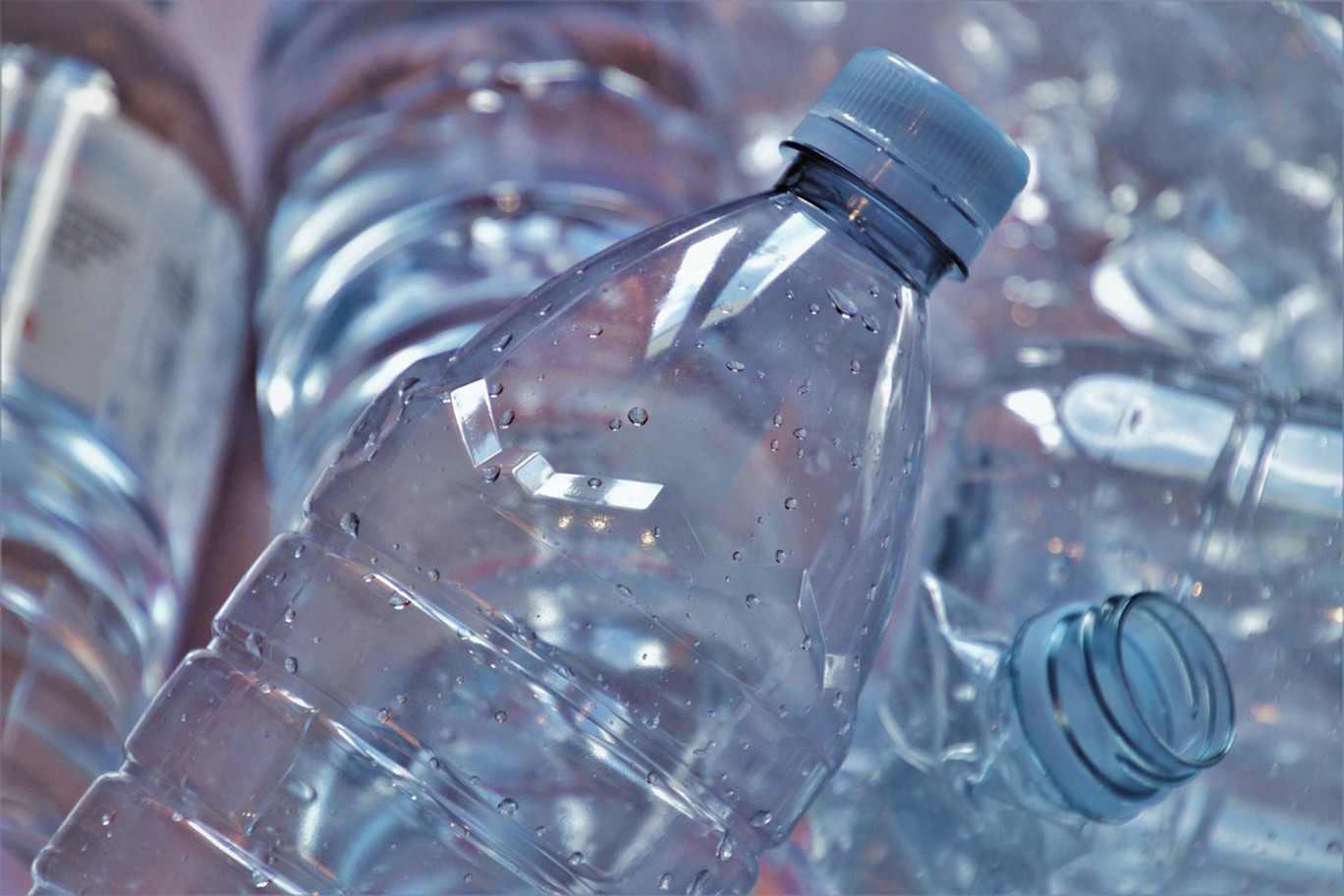 Pour les Sénateurs, la consigne des bouteilles en plastique s’affiche comme une fausse bonne idée. 