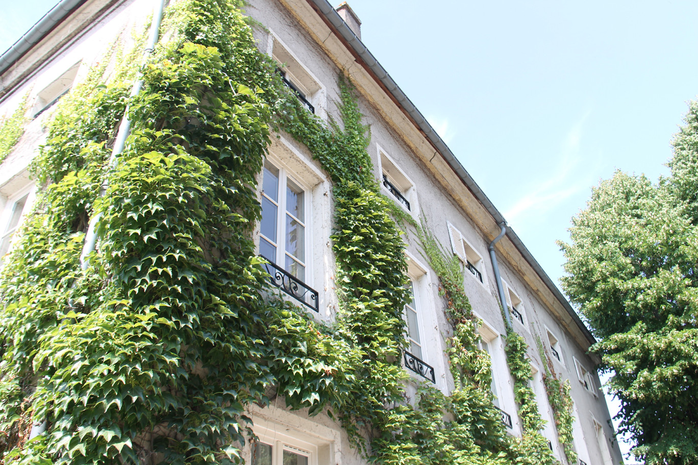 Les procédures sur la rénovation énergétique ne sont pas adaptées aux logis construits avant 1948, soit le tiers du parc, dénonce la commission de la Culture du Sénat.