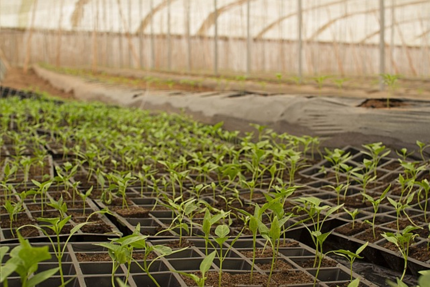 «Assurer la souveraineté agricole du pays ainsi qu' un changement radical du modèle de production agricole actuel.»