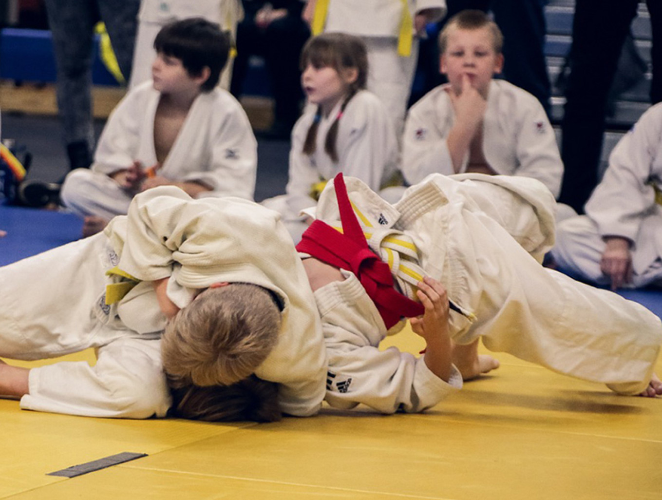 La Ligue de Judo upcycle avec APF Entreprises