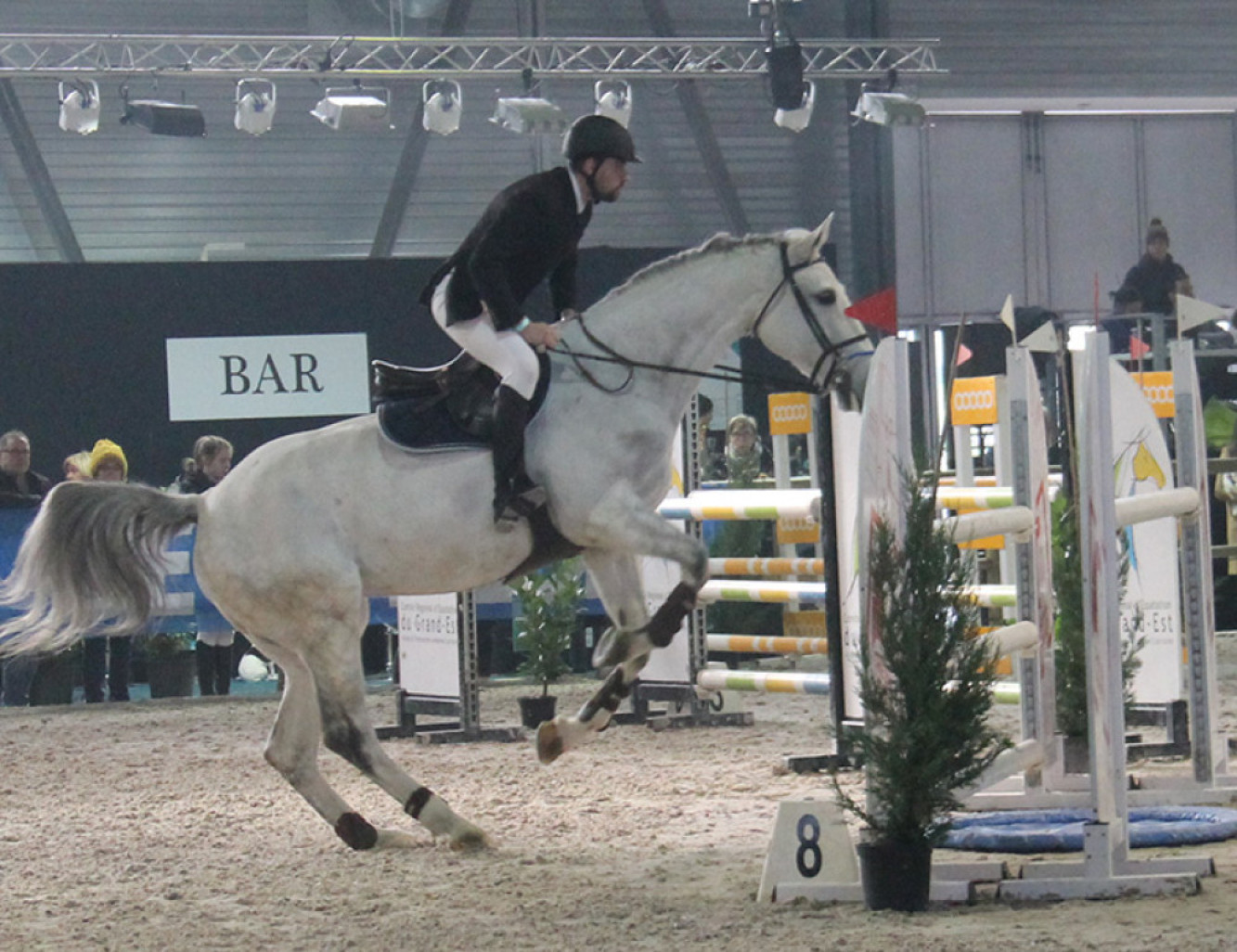 Cheval Expo en janvier à Nancy