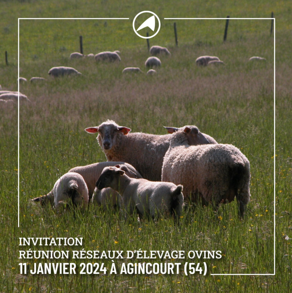 © Chambre d’agriculture de la Meuse 