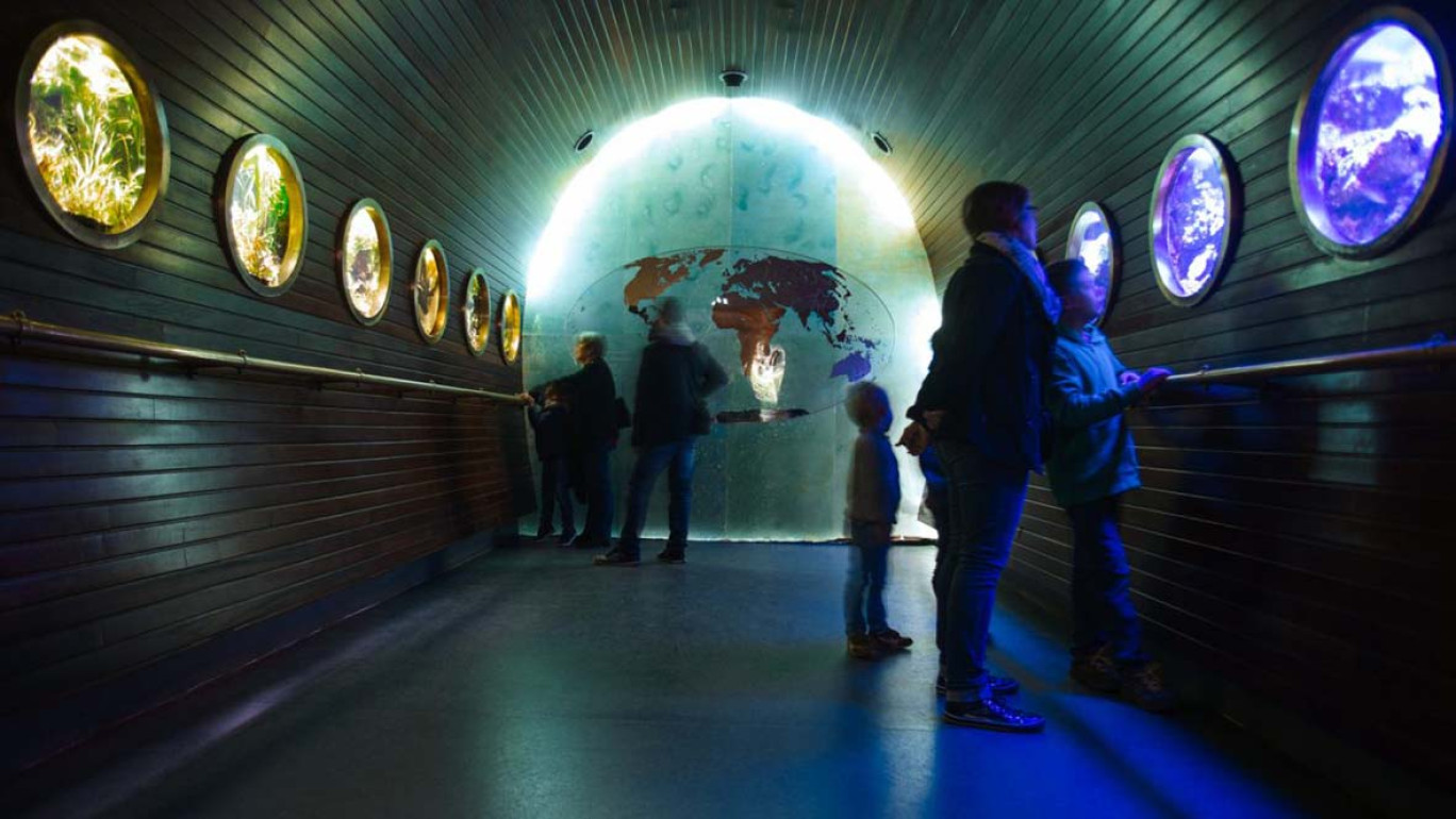 © : Muséum-Aquarium Nancy