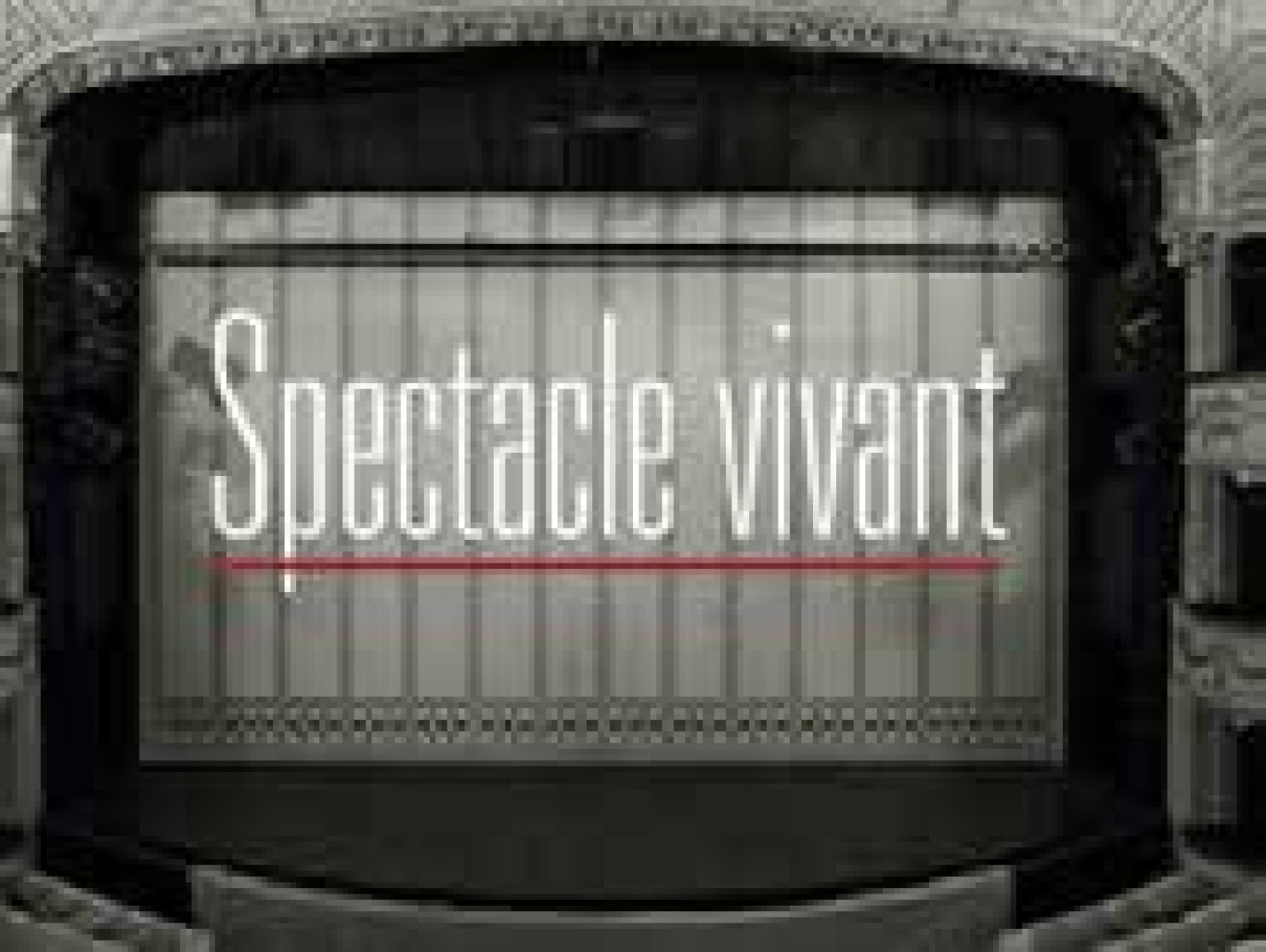 Le spectacle vivant est préconisé par le Conseil économique et social.