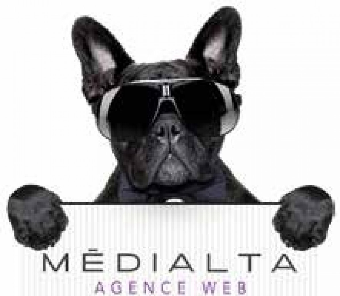 Organisme de formation, la société Medialta mise sur ses compétences mais aussi son approche originale et décomplexée pour séduire ses clients.