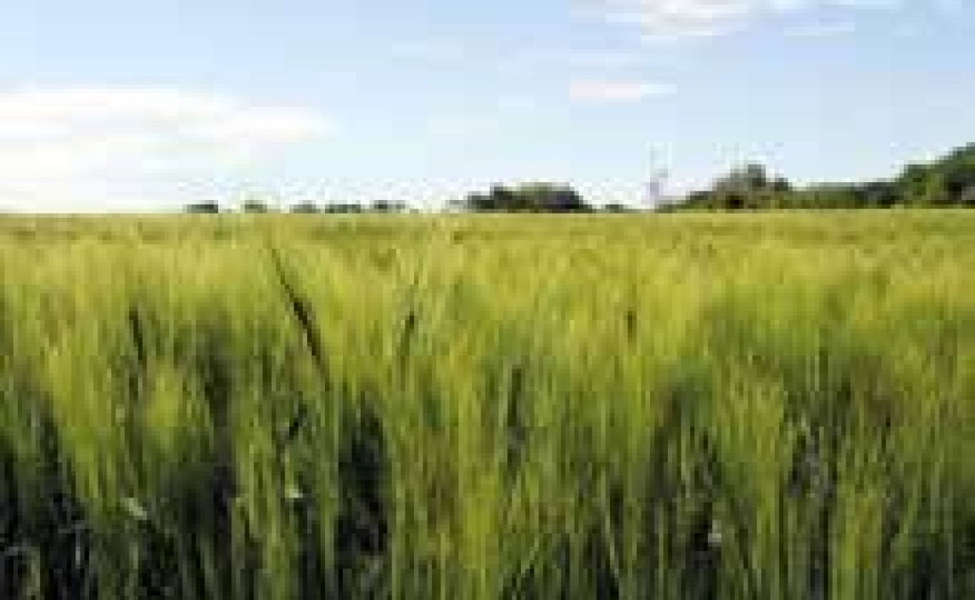 L’adaptation du secteur agricole aux changements climatiques était une question bien présente au dernier Salon de l’Agriculture.