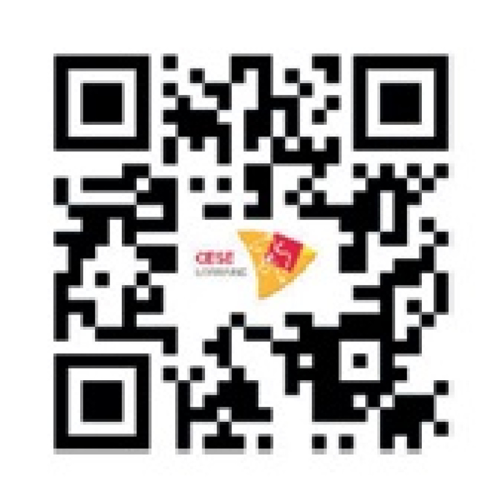 Le Cesel vient de lancer son QR Code. Pratique…