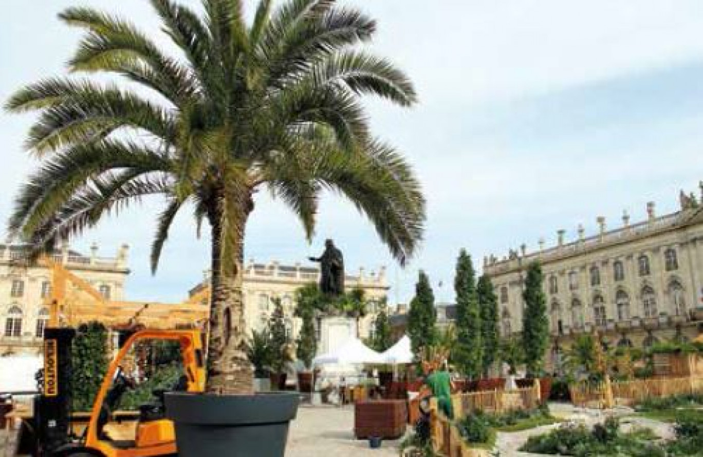 La place Stanislas voit vert