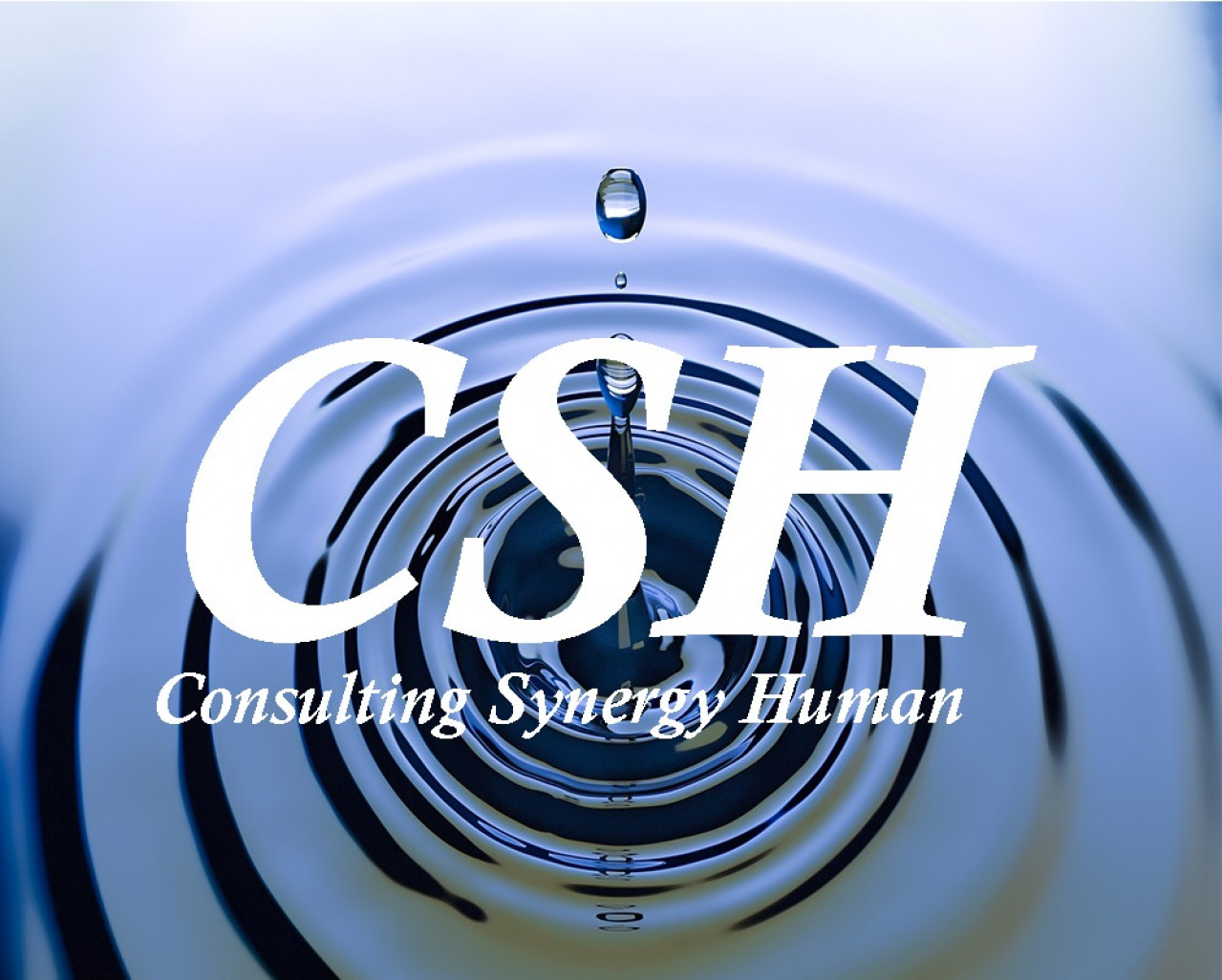 L’agence peut être contactée à l’adresse suivante : contact@csh-grandest.com