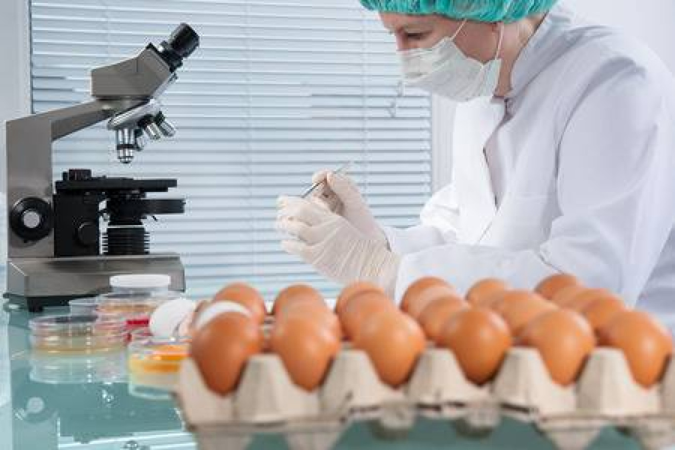 La sécurité des aliments sera le thème central de la première édition des Rencontres AgroValor à Nancy le 26 octobre.