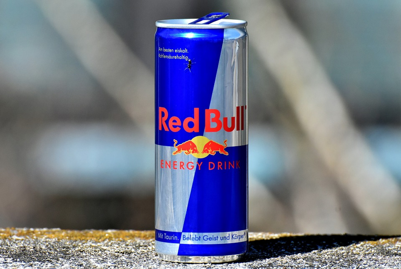 Red Bull lance le concept de « Student Marketeers »
