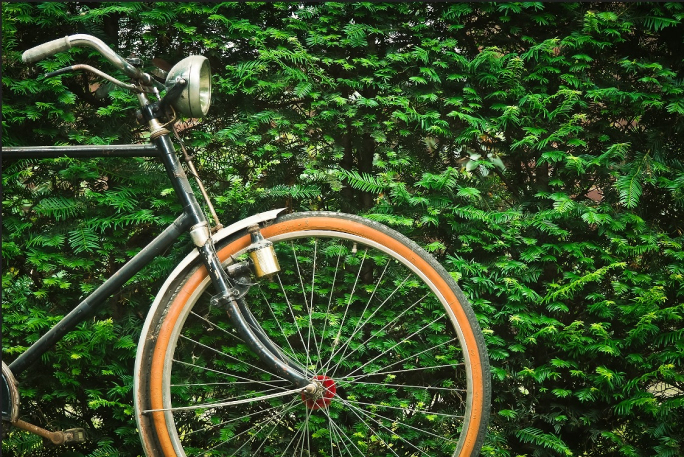 Les cycles Bauler célèbrent leur 100 ans d'existence