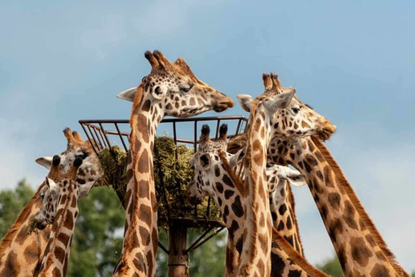 Le zoo d’Amnéville reste ouvert