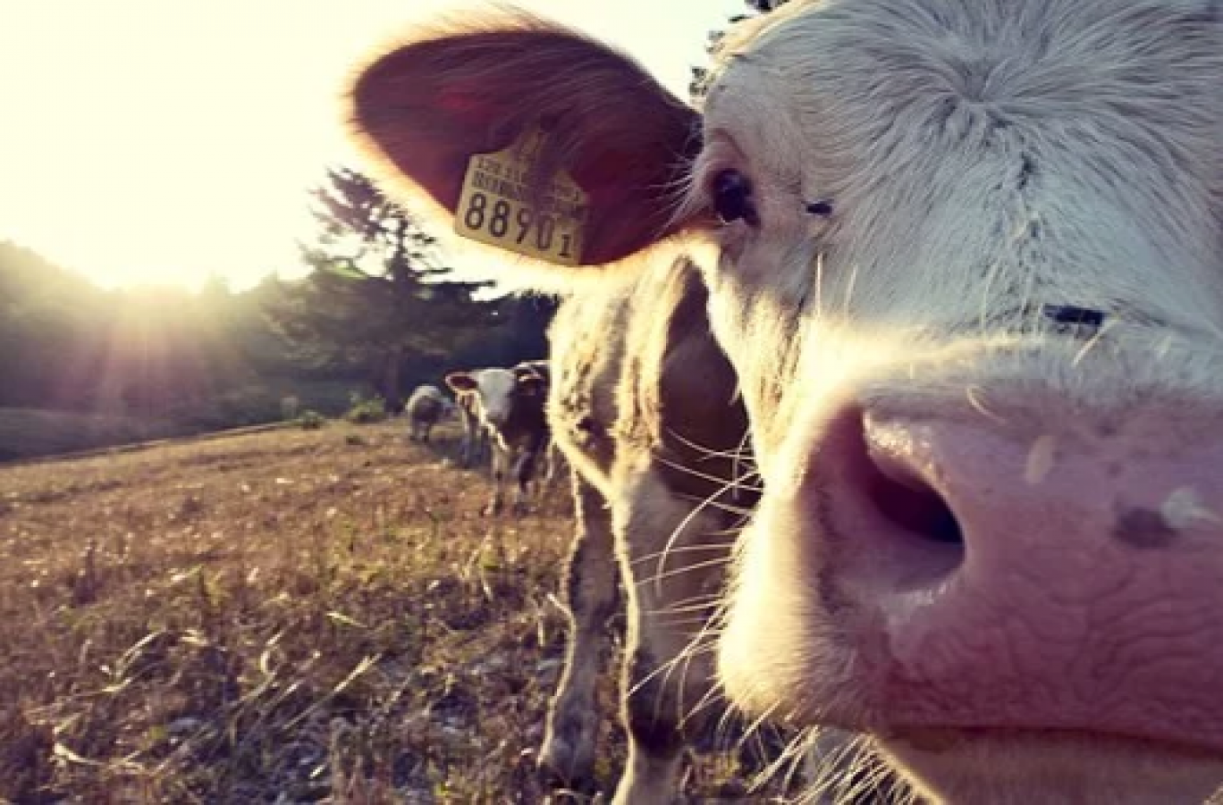 La JPO du campus agricole a attiré beaucoup de monde