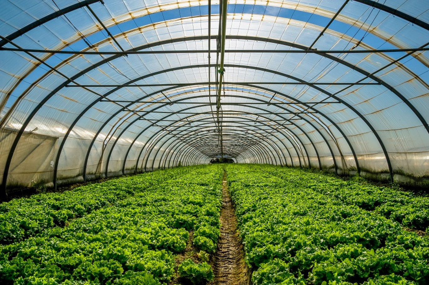 Les Jardins de la Roche de Charme inaugurent leurs serres chauffées