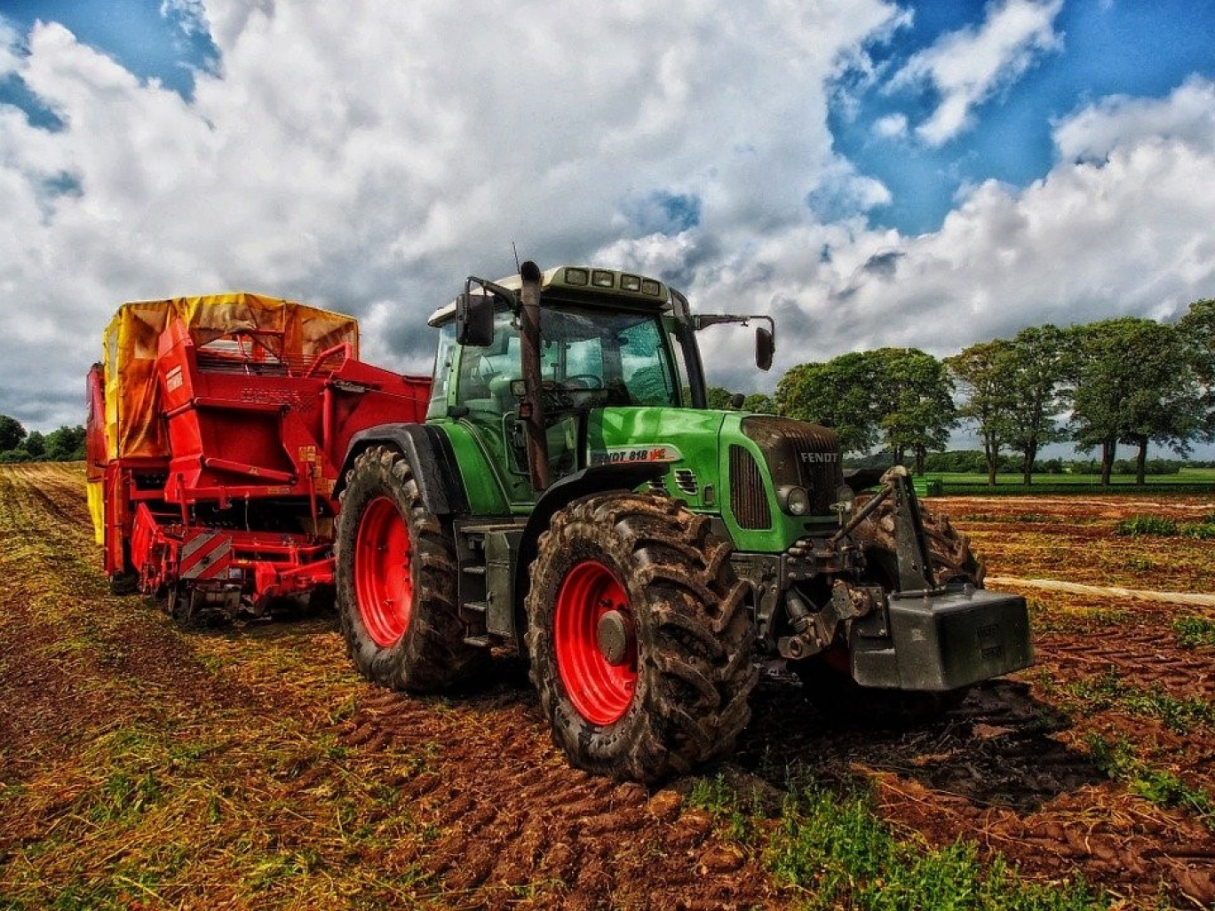 Le monde agricole via la Fédération nationale des syndicats d'exploitants agricoles appelle les consommateurs français à jouer le jeu pour les fêtes de fin d’année.