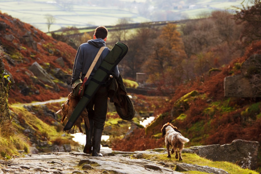 Des restrictions de chasse mises en place dans la commune de Bislée