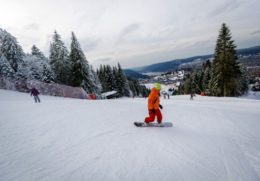 Un bilan hivernal mitigé