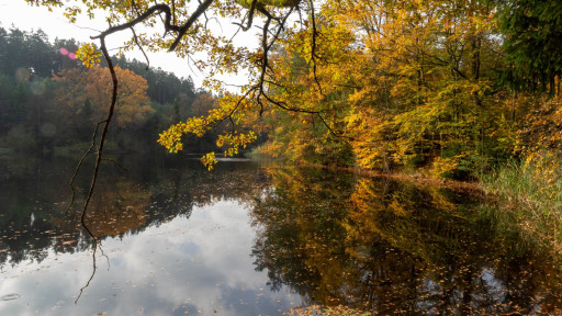 «Vivons notre nature !» se poursuit à l’automne avec de nouvelles activités