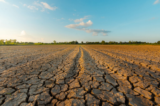 Aléas climatiques 2022 : une aide est votée au profit des éleveurs
