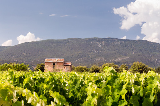 En voir de toutes les couleurs en Luberon